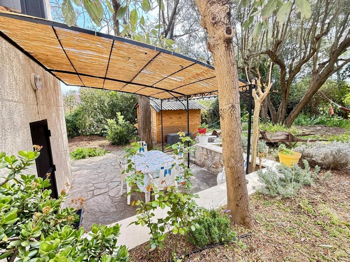 Jardin & Terrasse Ombragee - T2 Cozy Et Paisible Leilighet La Garde  Eksteriør bilde